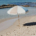 Ombrellone Mare e Giardino in Cotone Canvass Diametro 200 cm con Palo in Legno di Faggio. Protezione UV50+.Art 248